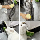 Massageador e Arranhador para Gatos – Escova Removedora de Pelos, Pente para Higiene e Cuidados com Pets, Cães e Gatinhos